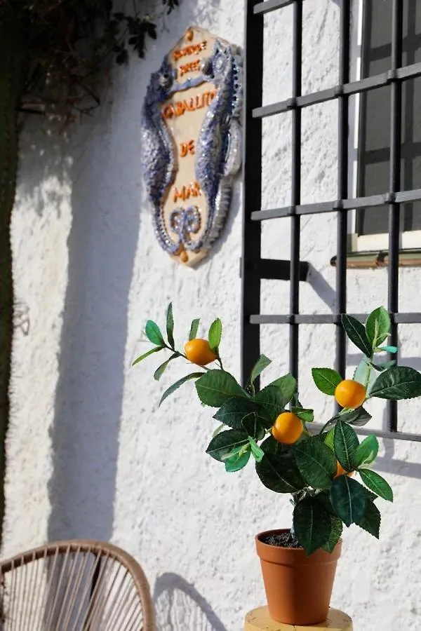 Casa Caballito De Mar Boutique B&B Bédar
