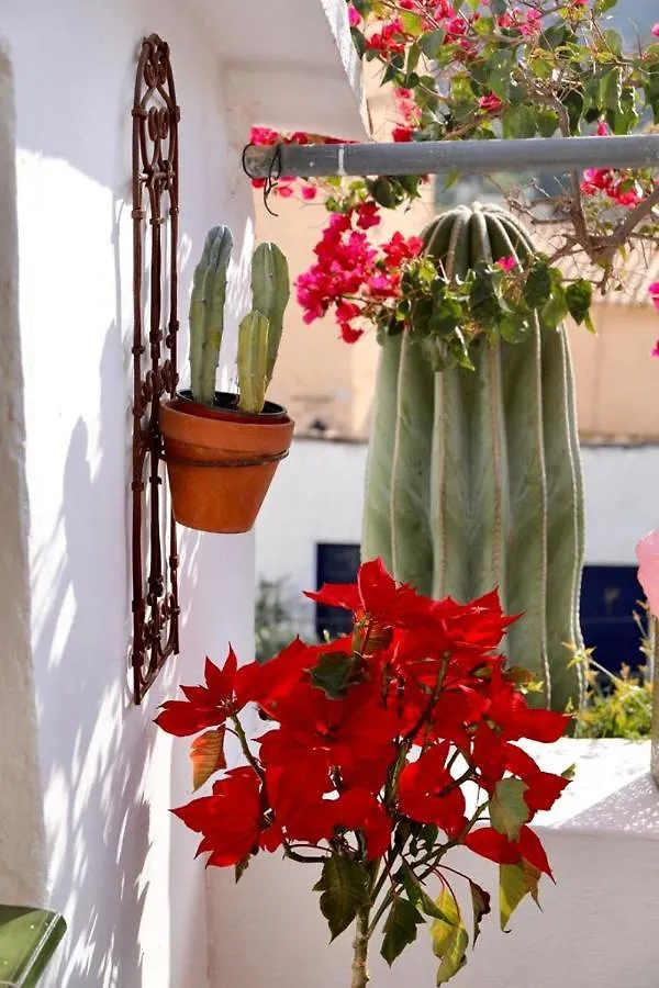 Casa Caballito De Mar Boutique B&B Bédar Panzió