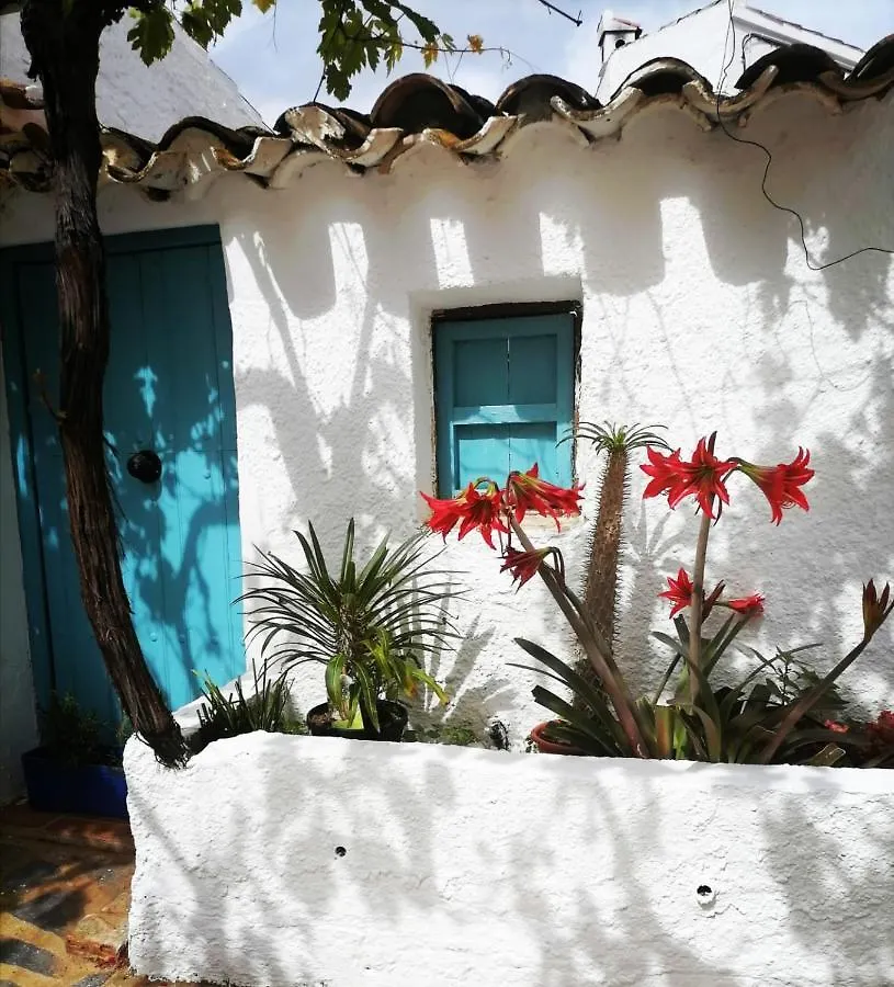 Casa Caballito De Mar Boutique B&B Bédar
