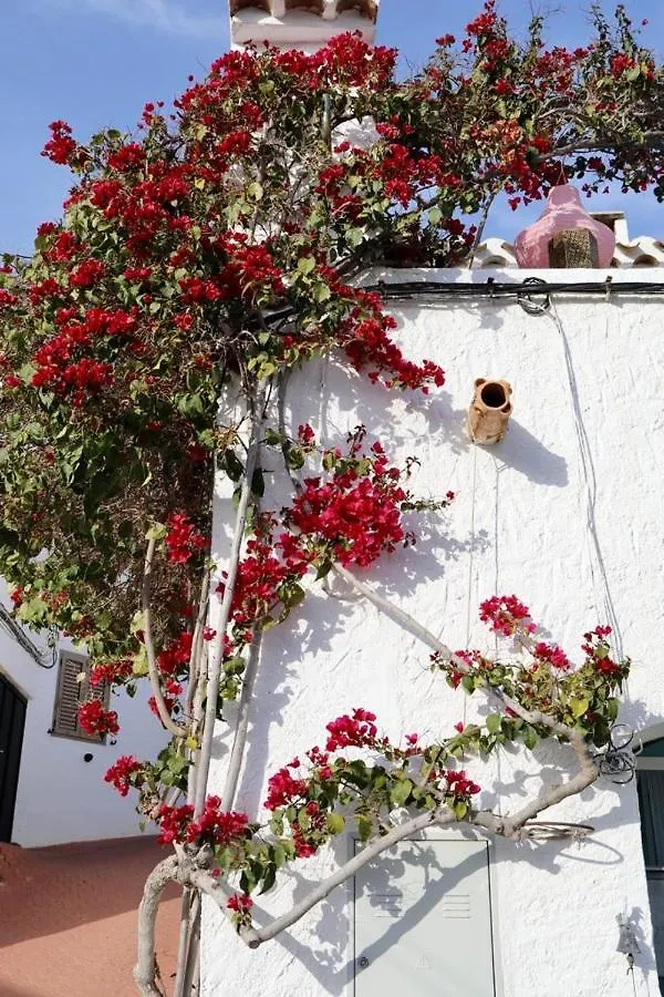 Bed & Breakfast Casa Caballito De Mar Boutique B&B Bédar